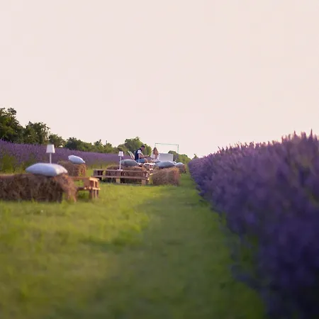 Farmhouse With Spacious Garden And Pool Дом отдыха Ашано